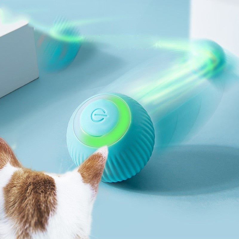 Bola Inteligente para Pet - Flash Ball™