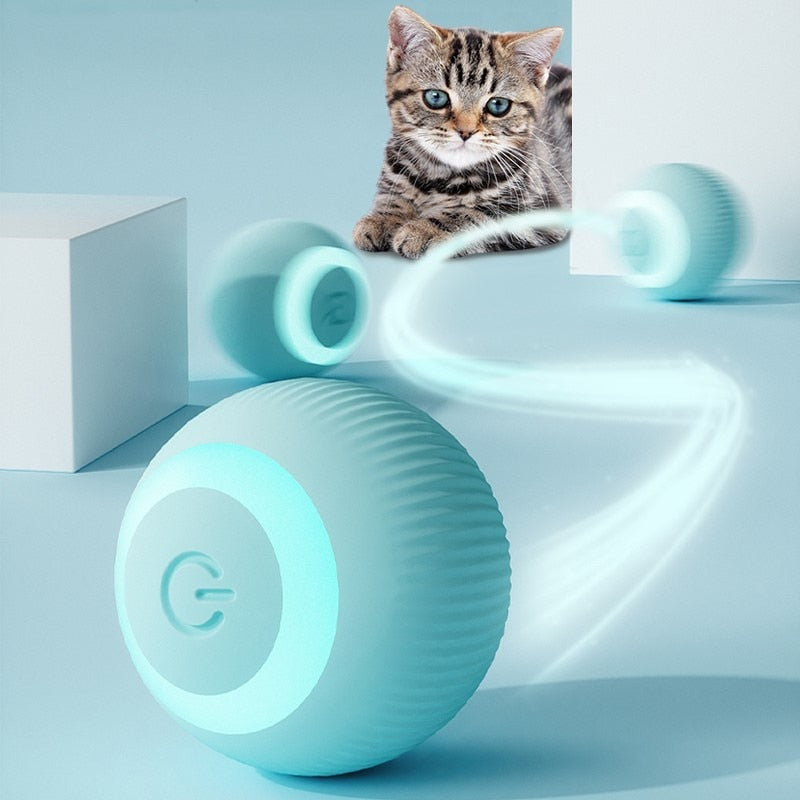 Bola Inteligente para Pet - Flash Ball™