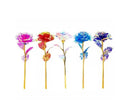 Rosa Beautiful Valentine - Compre 1 Leve 5 - PROMOÇÃO LIMITADA!