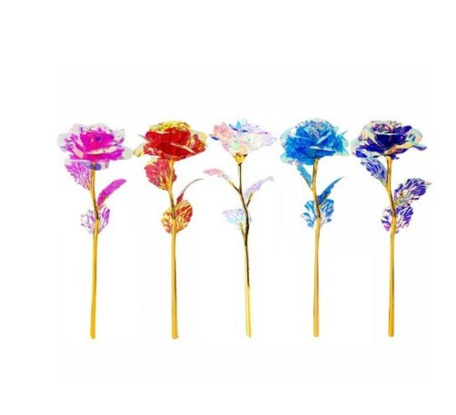 Rosa Beautiful Valentine - Compre 1 Leve 5 - PROMOÇÃO LIMITADA!
