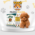 Cachorro de Pelúcia Realista - Tótó™